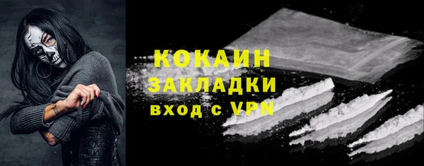 PSILOCYBIN Аркадак