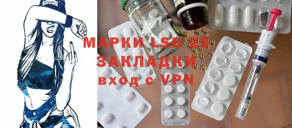 PSILOCYBIN Аркадак