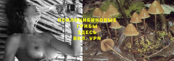 гашиш Арсеньев